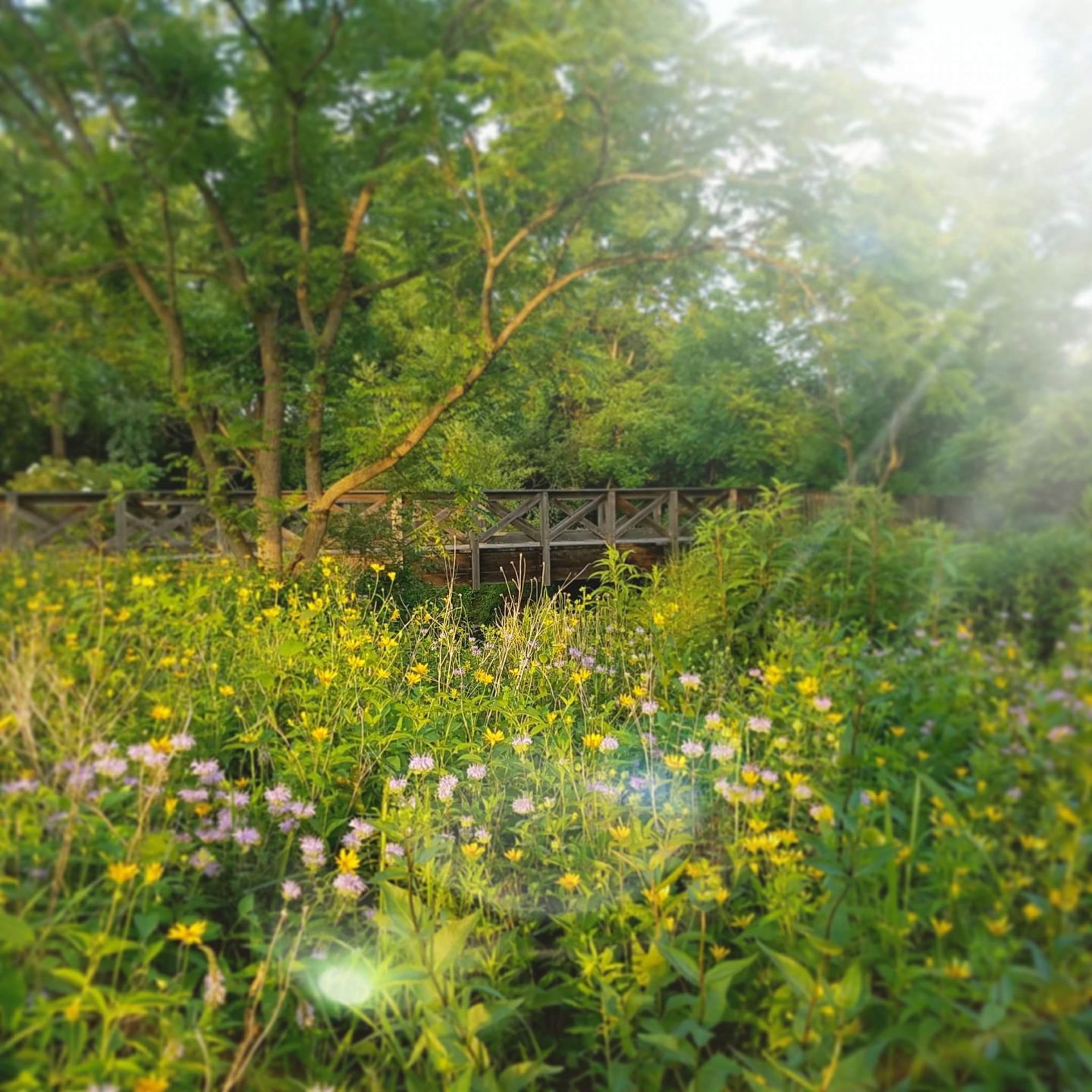 PORTER COUNTY TRAILS